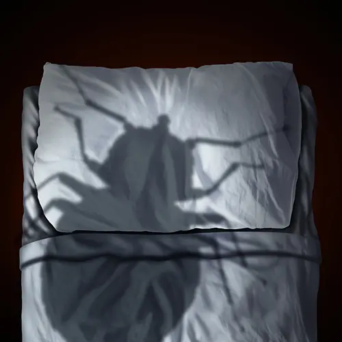 An overview of a single bed with a large silhouette of a bed bug over the whole thing.