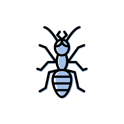A clipart icon of an ant.