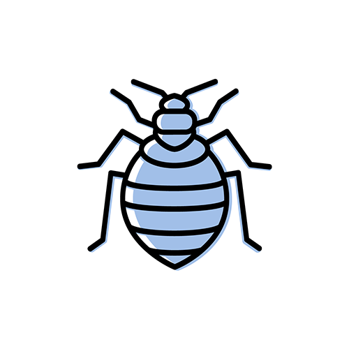 A clipart icon of a bed bug.