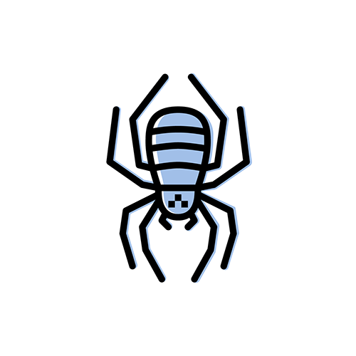 A clipart icon of a house spider.