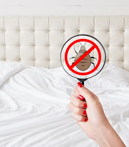 A bed with white linen, a hand in front holding a magnifying glass, and a clipart of a bed bug with a red circle and cross out line across it.
