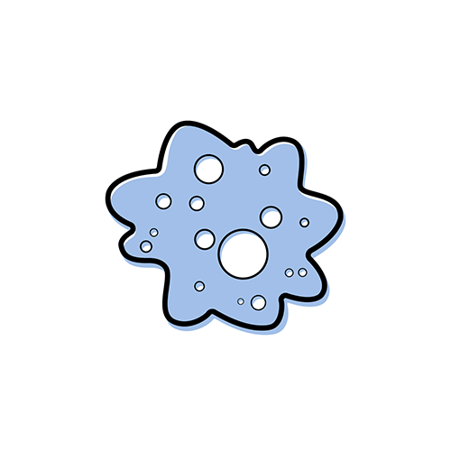 A clipart icon of mold spores.