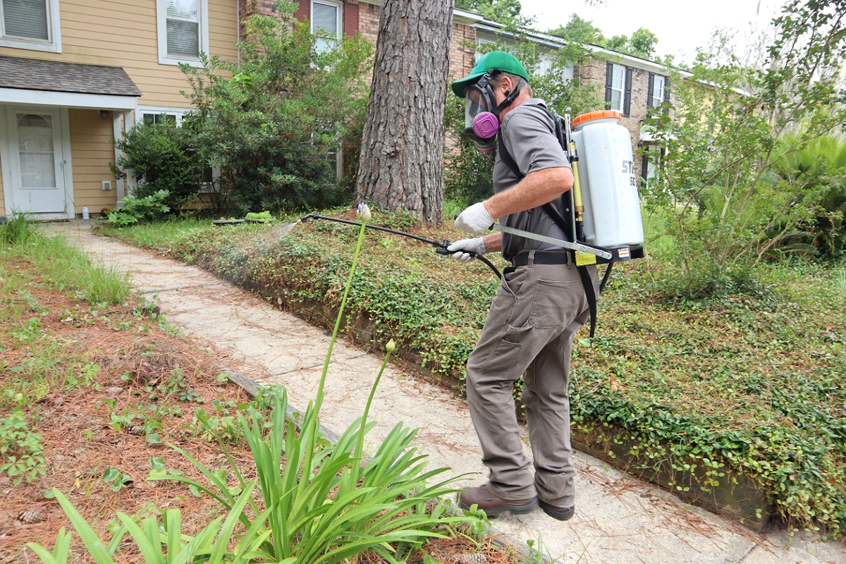 A technician spraying outside a building for pests.