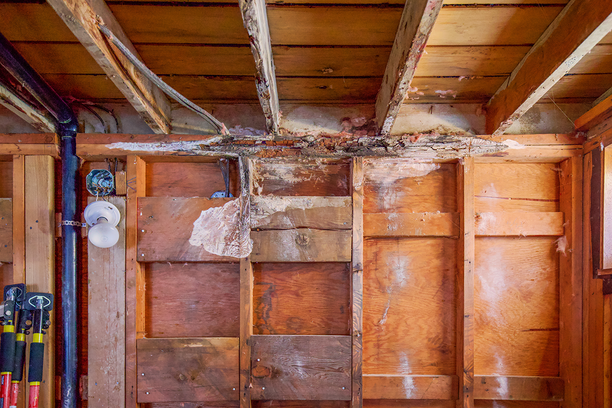 Exposed wooden ceiling beams and wall framing showing signs of dry rot, moisture damage, and structural deterioration.