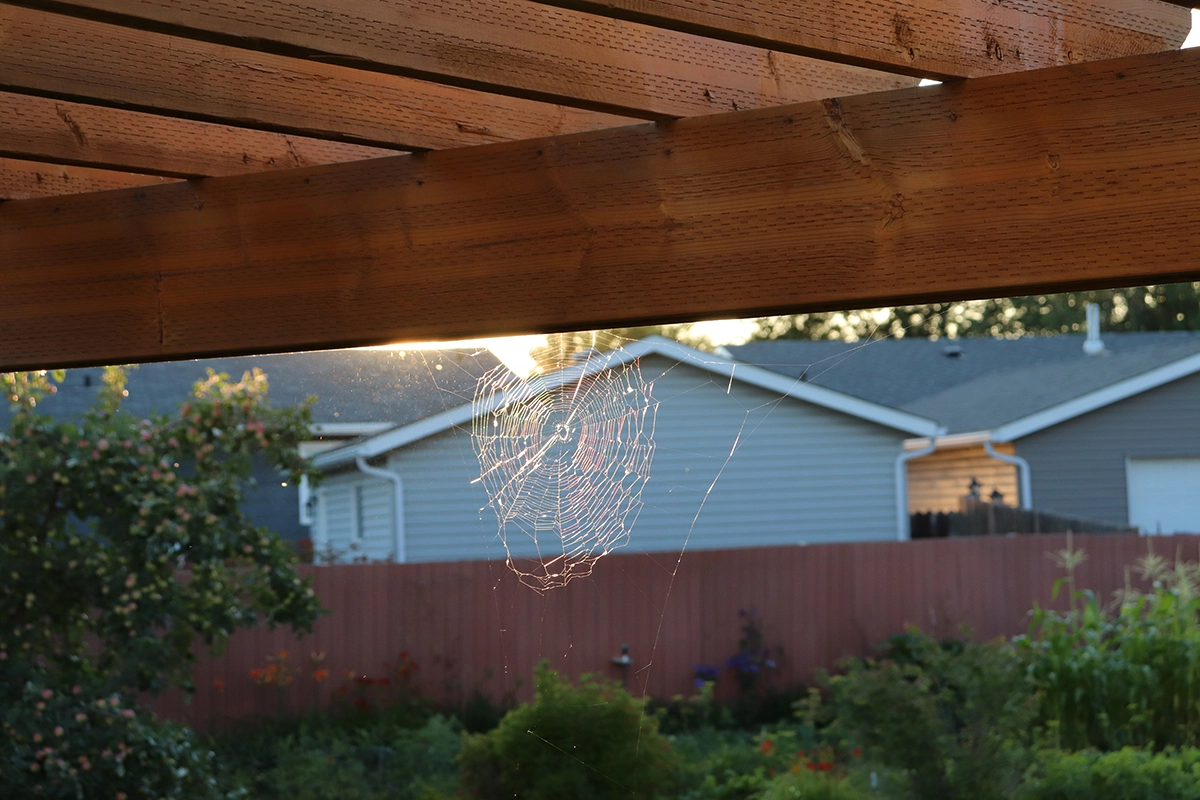Spider web hanging under a porch structure, common in outdoor areas around homes